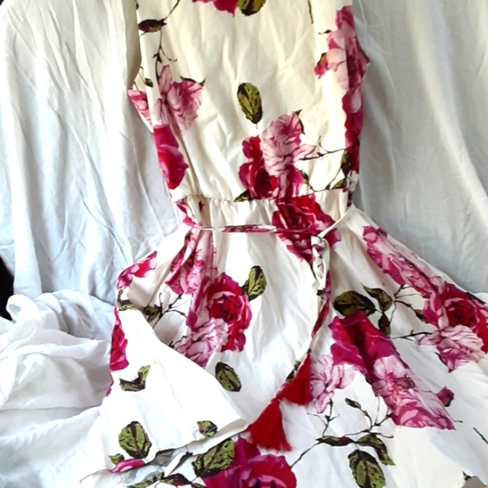 baileyblue  Brand. Raw beige Color With Brilliant Roses  Print  dress